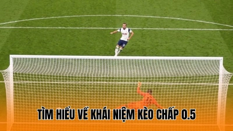 Tìm hiểu về khái niệm kèo chấp 0.5 Tìm hiểu về khái niệm kèo chấp 0.5