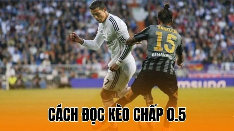 Cách Đọc Kèo Chấp 0.5