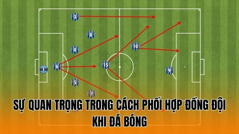 Sự quan trọng trong cách phối hợp đồng đội khi đá bóng Sự quan trọng trong cách phối hợp đồng đội khi đá bóng