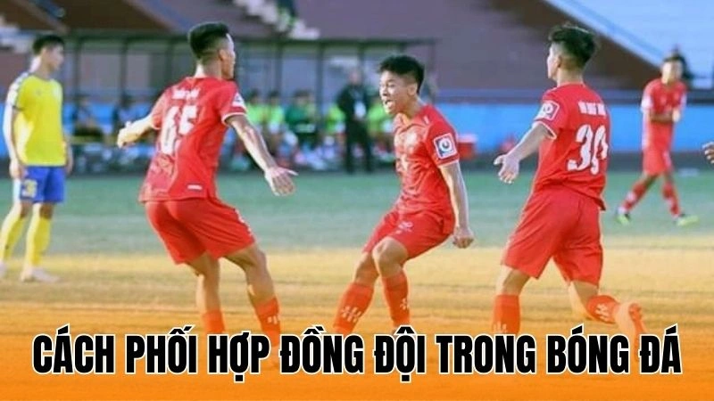 Cách Phối Hợp Đồng Đội