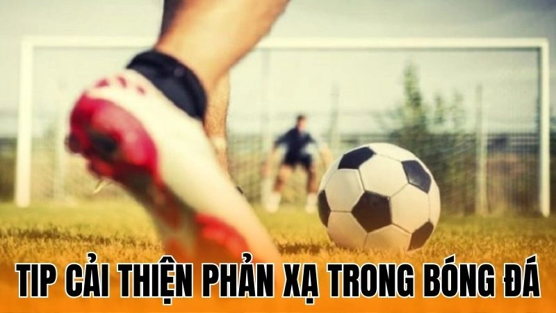Tip Cải Thiện Phản Xạ Trong Bóng Đá Để Nâng Cao Kỹ Năng