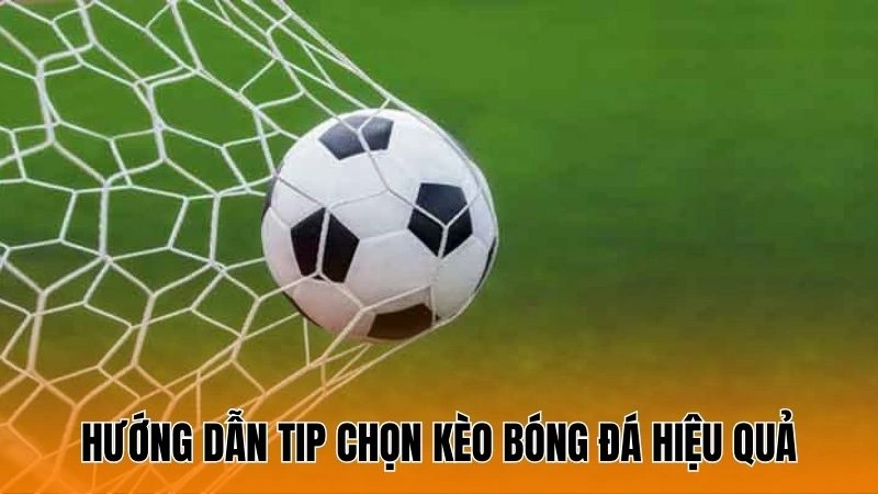 Hướng dẫn tip chọn kèo bóng đá hiệu quả Hướng dẫn tip chọn kèo bóng đá hiệu quả